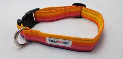 Yellow, Orange & Pink Stripes - 1" Collar