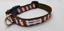 White Bones on Brown - 1" Collar