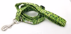 Lucky 4-Leaf Clover Set - 1" Medium Collar, 5' Leash