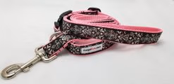 Black & White Set - 1" Small Collar, 5' Leash