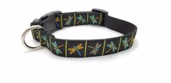 Dragonfly on Black - 1" Collar