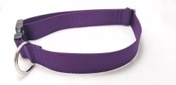 Purple Webbing Collar - 1.5" Collar