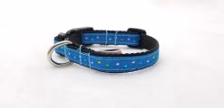 French Knots on Blue - .5" Collar