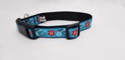 Pointsettia on Turquoise - 1" Collar