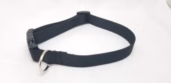 Plain Black Webbing - 1" Collar